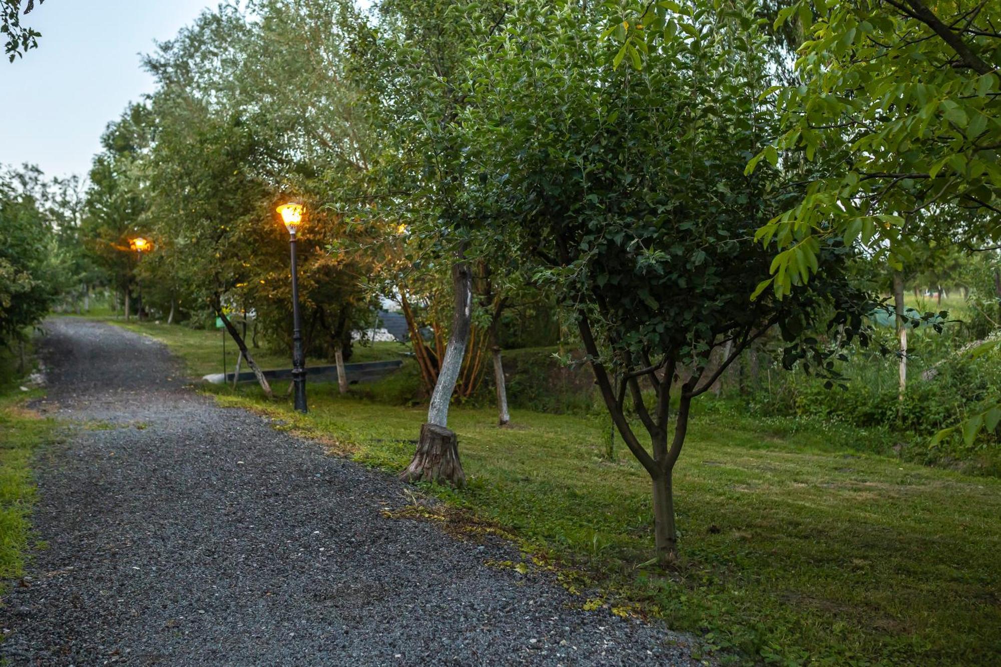 Agropensiunea Colev Stremt Exterior photo